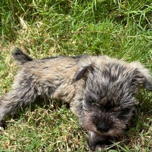 Meet your Posher, Michaela